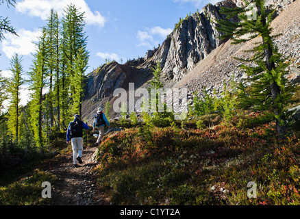 Due uomini escursionismo sulla Pacific Crest Trail vicino Harts Pass, North Cascades, Washington, Stati Uniti d'America. Foto Stock
