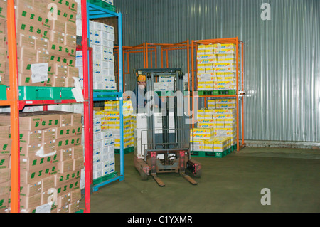 Il caricatore del carrello elevatore a forche con pieno carico onpallet in un deposito in Giappone azienda Foto Stock