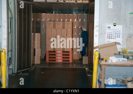 Il caricatore del carrello elevatore a forche con pieno carico onpallet in un deposito in Giappone azienda Foto Stock