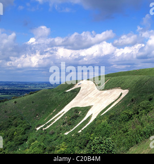 Westbury o Bratton White Horse hill figura collinare di Salisbury Plain originariamente tagliato in gesso bianco ora e cemento dipinto di Wiltshire, Inghilterra REGNO UNITO Foto Stock