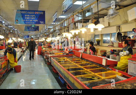 Jagalchi Mercato del Pesce, Busan, Corea del Sud Foto Stock