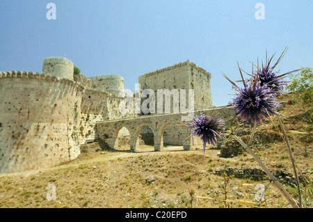 Krak des Chevaliers, castello dei Crociati in Siria Foto Stock