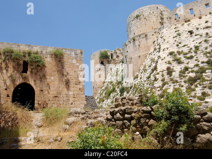 Krak des Chevaliers, castello dei Crociati in Siria Foto Stock