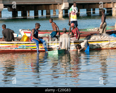 Lo scarico di ostriche da barche da pesca Denton Bridge, Banjul (Gambia Foto Stock