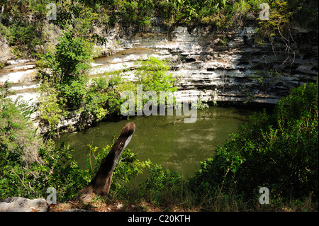 Cenote Sagrado (Pozzo Sacro) a Chichen Itza, Yucatan, Messico Foto Stock