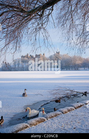 Guardando attraverso il Loch congelati a Linlithgow Palace, Scozia, 2011 Foto Stock