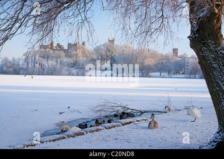 Guardando attraverso il Loch congelati a Linlithgow Palace, Scozia, 2011 Foto Stock