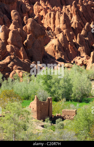 Kasbah in un oasi sotto il Tamnalt formazioni rocciose in th Dades Valley vicino a Ouarazazate, Marocco. Foto Stock