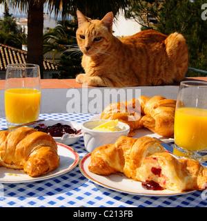 La prima colazione continentale con gatto seduto sul muro, Andalusia, Spagna, Europa occidentale. Foto Stock