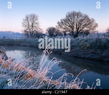 Il fiume Brue a South Moor ai livelli del Somerset a Glastonbury, Somerset, Inghilterra Foto Stock