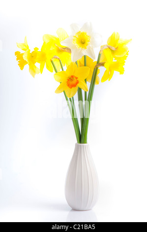 Tasto basso foto di un vaso bianco di diverse varietà di fresh spring daffodils. Foto Stock