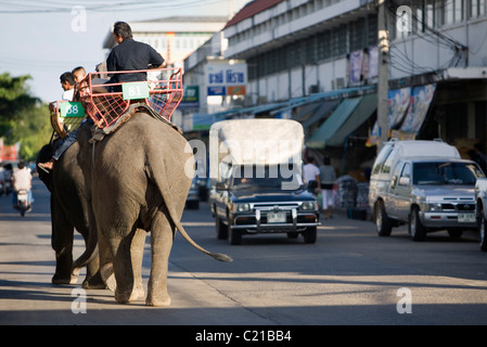 Elephant taxi condividere le strade di Surin durante l'Elefante annuale Festival Roundup. Surin, Surin, Thailandia Foto Stock