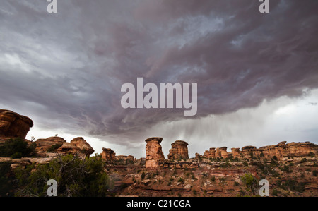 Minacciose nuvole temporalesche al di sopra degli aghi Distretto del Parco Nazionale di Canyonlands, Utah, Stati Uniti d'America. Foto Stock