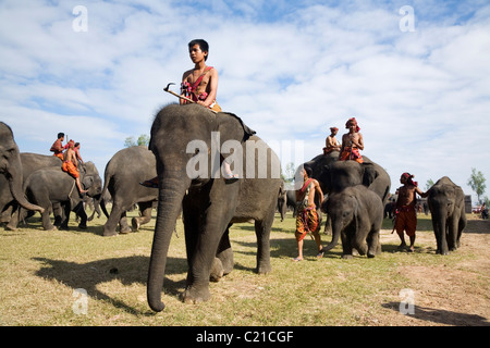 Un branco di elefanti e loro Suai mahouts (maestri) durante l'Elefante annuale festival Roundup. Surin, Surin, Thailandia Foto Stock