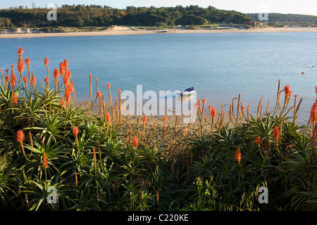 Vila nova de Milfontes, Portogallo, Regione Alentejo Foto Stock