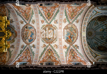 Soffitto dipinto murale s s & s di affreschi nella chiesa di Hospital De Venerables Sacerdotes; Plaza de los Venerables. Siviglia Spagna Foto Stock