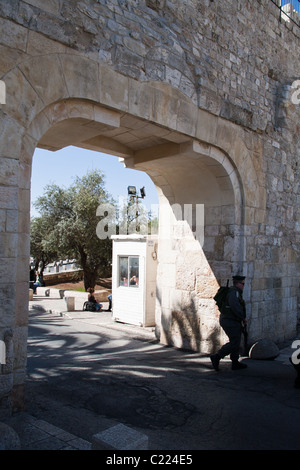 Sterco di Gerusalemme porta Vecchia Città Foto Stock