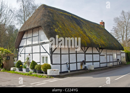 Cottage in Nether Wallop, Hampshire, Inghilterra Foto Stock