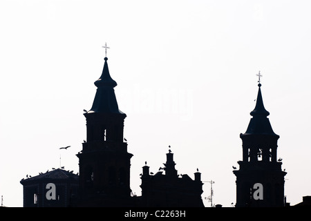 La nidificazione delle cicogne bianche, Alfaro, La Rioja, Spagna, España Foto Stock