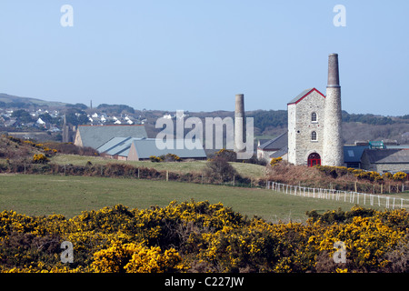 Le miniere di stagno di Wheal Kitty su GOONLAZE Downs. St Agnes Cornwall Regno Unito. Foto Stock