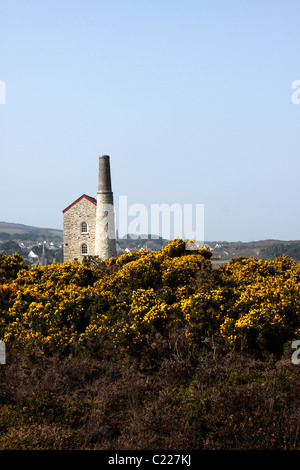 Le miniere di stagno di Wheal Kitty su GOONLAZE Downs. St Agnes Cornwall Regno Unito. Foto Stock