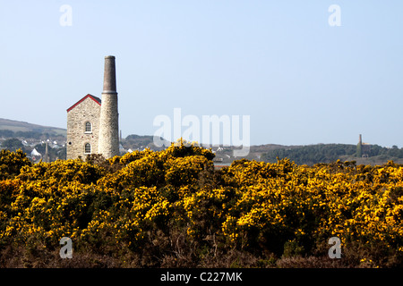 Le miniere di stagno di Wheal Kitty su GOONLAZE Downs. St Agnes Cornwall Regno Unito. Foto Stock