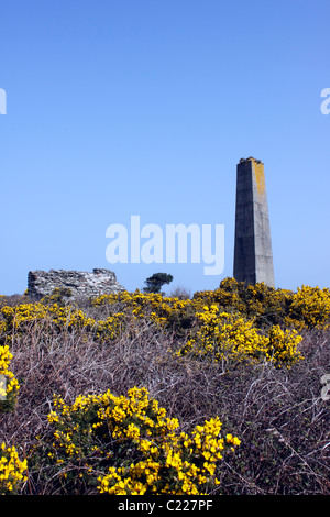 Le miniere di stagno di Wheal Kitty su GOONLAZE Downs. St Agnes Cornwall Regno Unito. Foto Stock