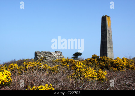 Le miniere di stagno di Wheal Kitty su GOONLAZE Downs. St Agnes Cornwall Regno Unito. Foto Stock