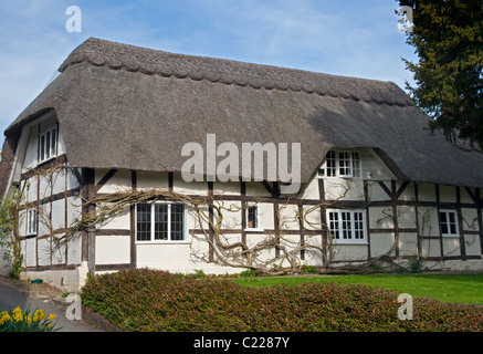 Cottage in Crawley, Hampshire, Inghilterra Foto Stock