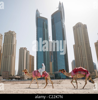 Un uomo a cavallo su un cammello sulla spiaggia di Dubai negli Emirati arabi uniti Foto Stock