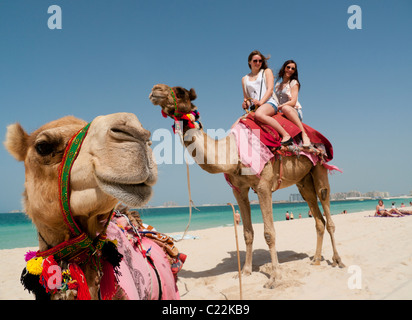 Due turisti avente una corsa in cammello sulla spiaggia di Dubai negli Emirati arabi uniti Foto Stock