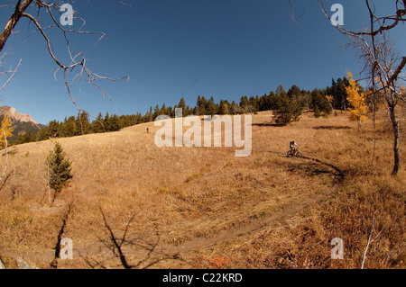 Mountain bike nel sud Chilcotin mountains, British Columbia, Canada Foto Stock