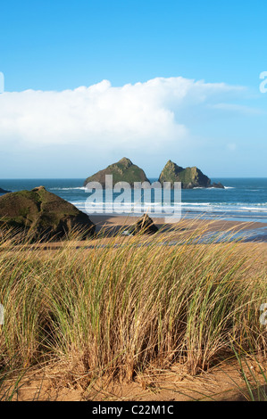 Il ' carradori rocce ' off Holywell Bay in Cornwall, Regno Unito Foto Stock