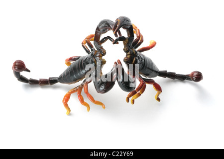 Gli scorpioni in plastica Foto Stock