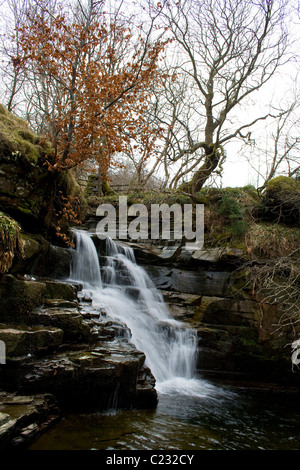 Cascata a Ashgill vicino a Alston, Cumbria nel North Pennines AONB Foto Stock