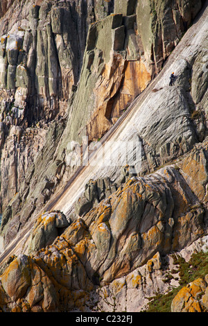 Scalatore salendo del diavolo la slitta sulla costa occidentale di Lundy Island, Devon, Inghilterra Regno Unito nel mese di marzo - piano naturale nel granito Foto Stock