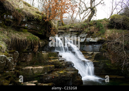 Cascata a Ashgill vicino a Alston, Cumbria nel North Pennines AONB Foto Stock