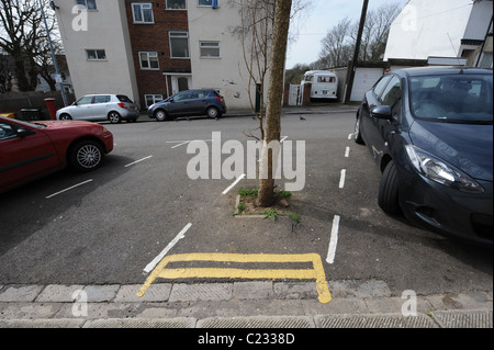 Molto breve doppio linee gialle per interrompere auto parcheggio in una baia con un albero piantato in strada a Shaftsbury luogo BRIGHTON REGNO UNITO Foto Stock