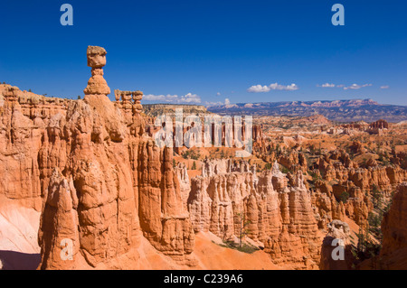 Bryce Canyon National Park Thor's Hammer and Sandstone Hoodoos in Bryce Canyon Amphitheatre Utah USA United States of America Foto Stock
