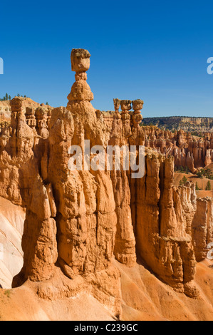 Il Thor del martello e di arenaria Hoodoos nel Bryce Canyon anfiteatro USA Utah Stati Uniti d'America US Foto Stock