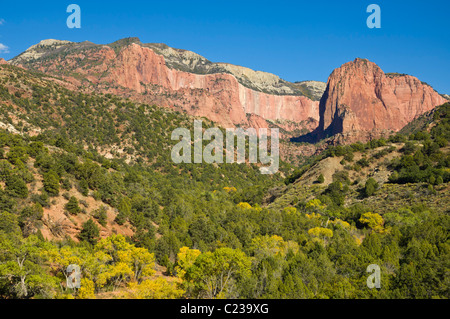 I colori autunnali e del paesaggio di montagna Kolob Canyon Zion National Park nello Utah Stati Uniti d'America Foto Stock