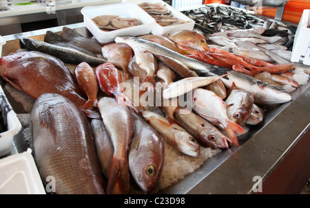 Il fishmarket, Aveiro, Portogallo Foto Stock