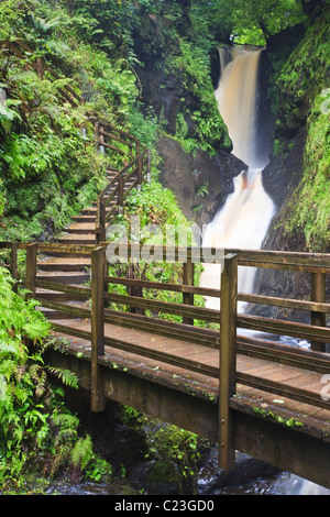 Ess-na-Larach cascata nel Glenariff Forest Park, County Antrim, Irlanda del Nord Foto Stock