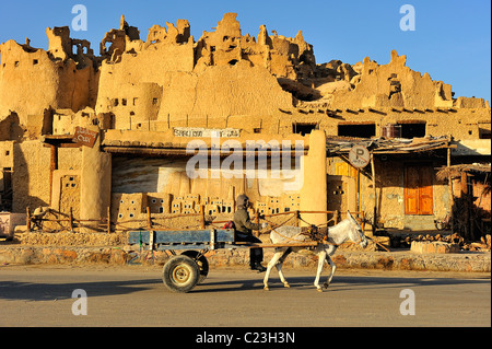 Un egiziano uomo alla guida di un asino carrello passato le rovine di una cittadella di Shali nell'oasi cittadina di Siwa, Egitto Foto Stock