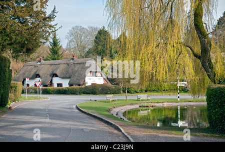 Cottage e Village Duck Pond, Crawley, Hampshire Foto Stock