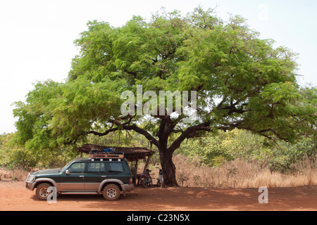 Una Toyota arrestato nell'ombra di un albero di acacia sulla rotta tra Banfora e Bobo Dioulasso, Burkina Faso Foto Stock