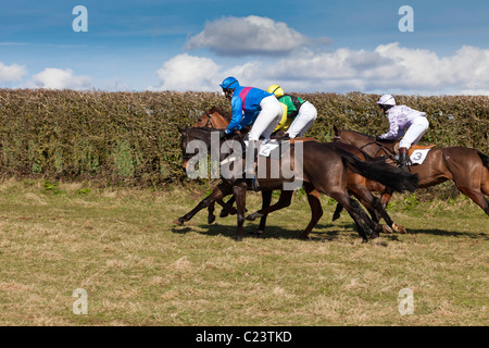 Cavalli al galoppo in corrispondenza del punto a punto all'Howick CHEPSTOW MONMOUTHSHIRE Wales UK Foto Stock