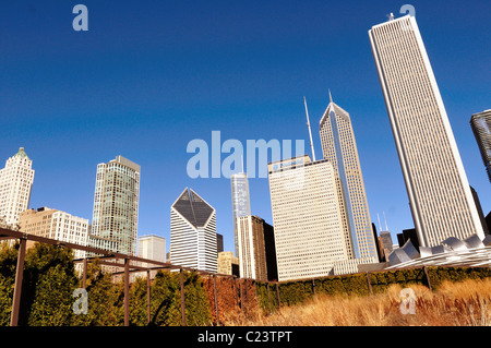 Una visione estrema del nord loop skyline come visto dai giardini del Millennium Park contenente nativo di erba della prateria. Chicago, Illinois, Stati Uniti d'America. Foto Stock