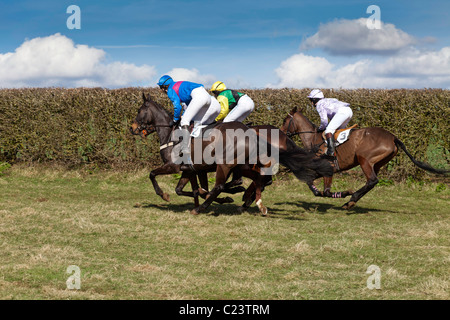 Cavalli al galoppo in corrispondenza del punto a punto all'Howick CHEPSTOW MONMOUTHSHIRE Wales UK Foto Stock