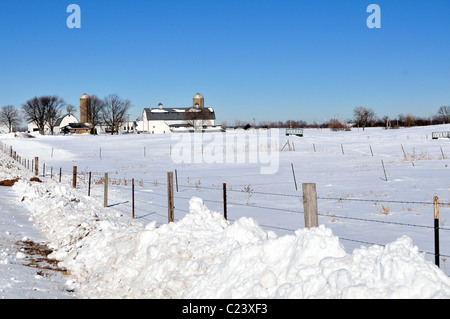 South Elgin, Illinois, Stati Uniti d'America. Un caseificio accoccolato nel mezzo dell'inverno tra i pesanti nevicate e derive di una recente tempesta. Foto Stock